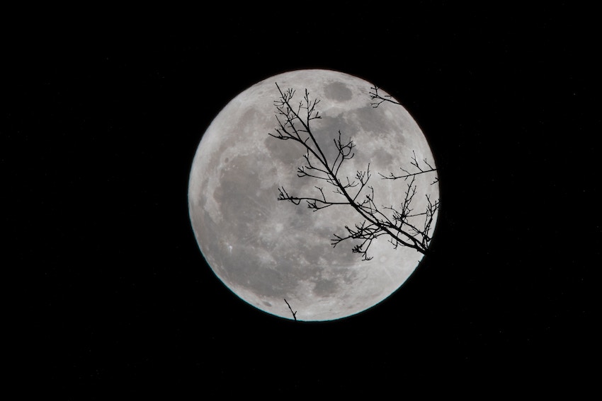 Jardiner avec la Lune, mythe ou réalité ?